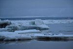 _DSC3507.jpg