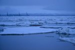 _DSC3509.jpg