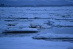 _DSC3510.jpg
