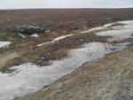 IMG_20140531_123400.jpg