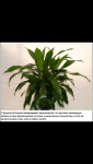 Screenshot_2014-04-09-09-53-49.png