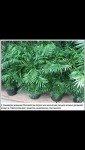 Screenshot_2014-04-09-09-53-57.png