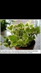 Screenshot_2014-04-09-09-54-01.png