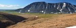 _DSC0248.jpg