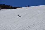 _DSC0346.jpg