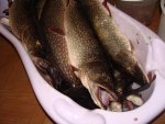 DSC01326.JPG
