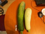 DSCN6258.JPG