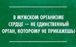 podborka_96.jpg