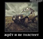Жрет и не толстеет.jpg