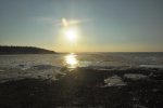 DSC_3082.jpg