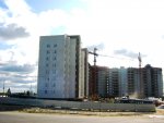 IMG_3810.JPG