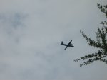 IMG_3308.JPG