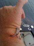 1334733562_bad_fishing_18.jpg