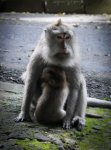 IMG_1055.jpg