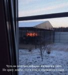 podborka_03.jpg