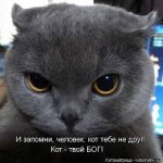 скачанные файлы.jpg