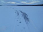 DSCN0402.JPG