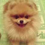 ImageUploadedByDrahelas App1419493614.167736.jpg