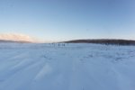 DSC09505.jpg