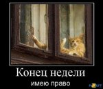 1279145152_tn.jpg