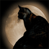 3_6724.gif