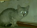 28012011531.jpg