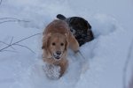 IMG_0242.JPG