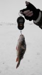 2015301120045.jpg