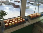 IMG_6957.JPG