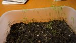 DSC01405.jpg