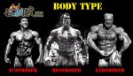 body-type.jpg