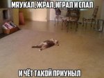 podborka_111.jpg