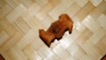 DSC01471.jpg