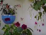 20150430_210656.jpg