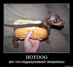 хотдог.jpg