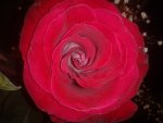 2014-03-08 22.39.22.jpg