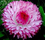img20110929221848_4940.jpg