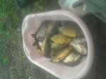 20150615_165819.jpg
