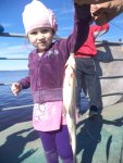 DSC00920.jpg