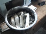 20150718_125145.jpg