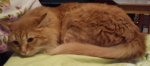 DSC_0018.jpg