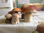 IMG_0612.JPG