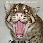 1261496981_vinegret.preview.jpg