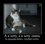 хочу.jpg