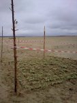 Фото0812.jpg