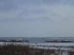 DSC00394.jpg
