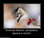 4048(1).jpg