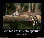 4054(1).jpg