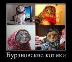4442(1).jpg