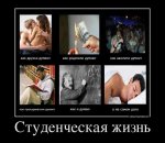 3385(1).jpg